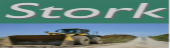 Stork